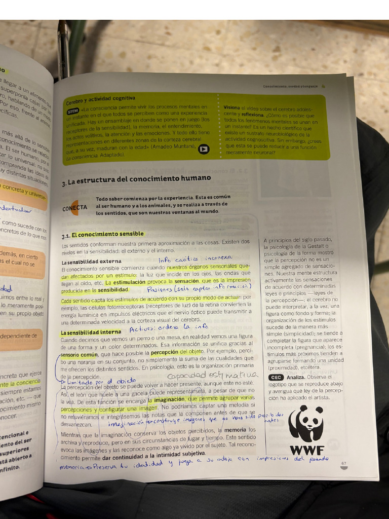 Filo P3 | PDF