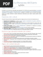 Escala ASIA para Lesiones Medulares | PDF | Médula espinal | Anatomía ...