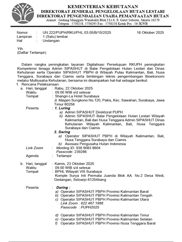 Undangan Bimtek Digitalisasi RKUPH 2025 | PDF