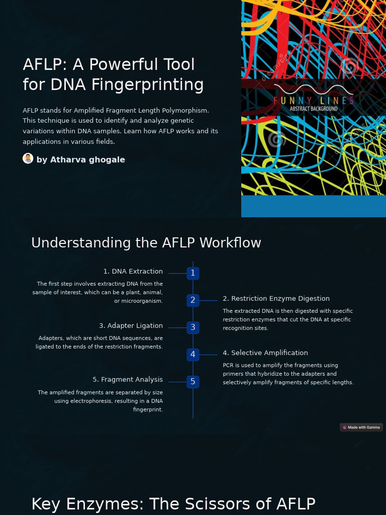 AFLP DNA Fingerprinting Explained | PDF | Polymerase Chain Reaction ...