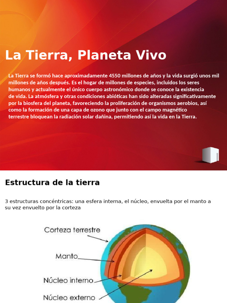 Estructura y Vida en la Tierra | PDF | Suelo | Tierra