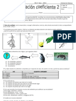 Evalaución Coef 2 II SEMESTRE