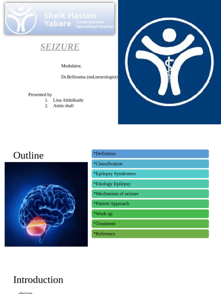 Understanding Seizures and Epilepsy | PDF | Epilepsy | Nervous System