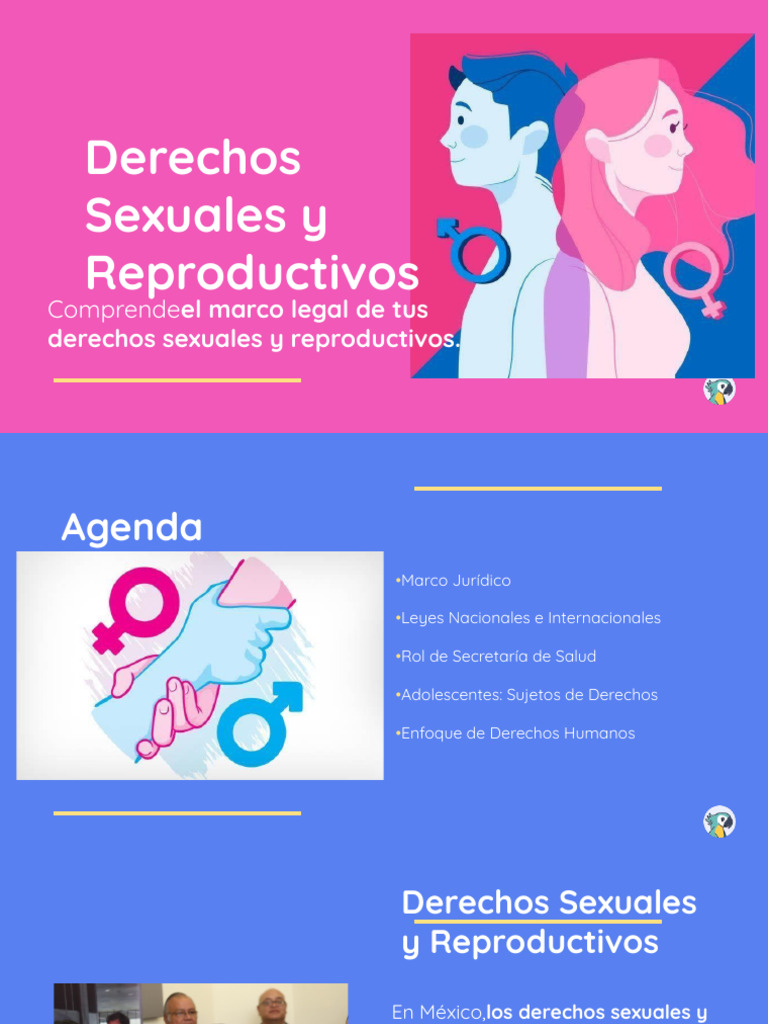Derechos Sexuales y Reproductivos en México | PDF | Derechos ...