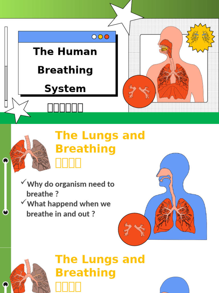 Breathing System Grade7.2 | PDF | Respiratory System | Breathing