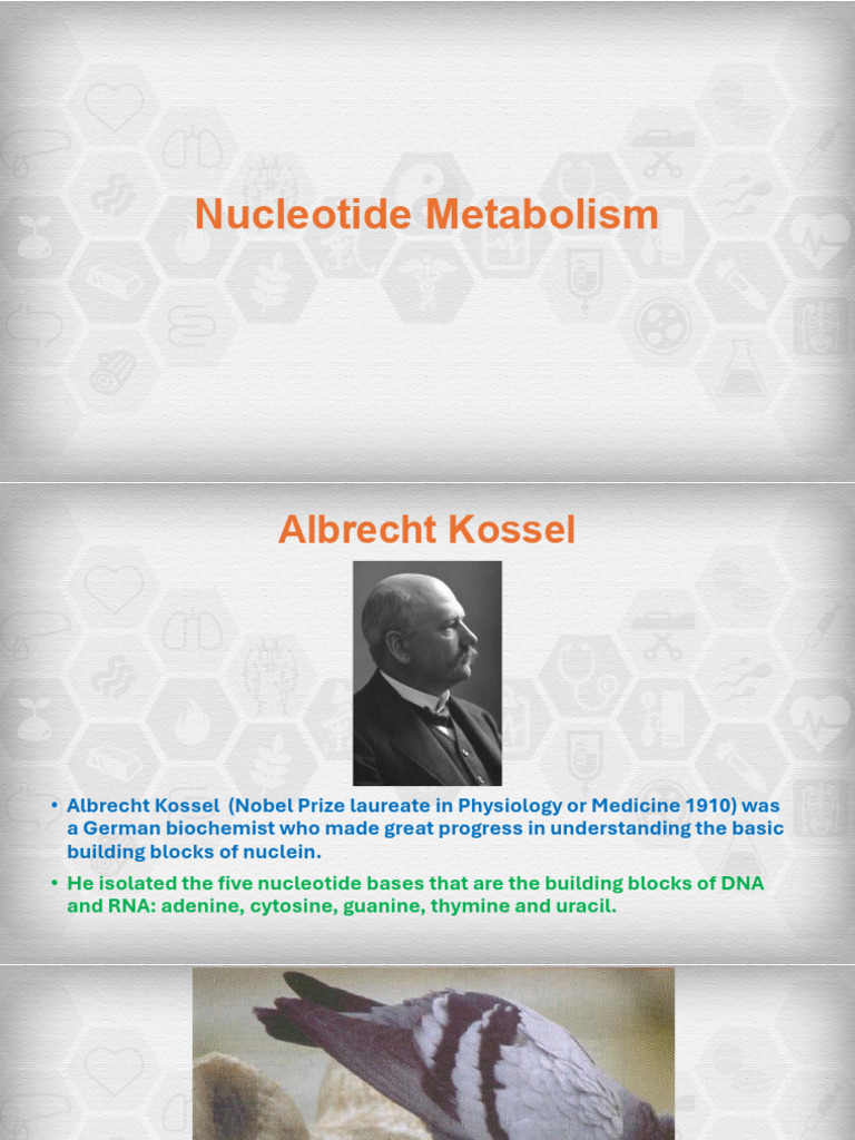 Session+11+Nucleotide+Metabolism+2025 (2) | PDF | Nucleotides ...