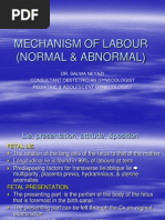 Download Mechanism of Labour Normal and Abnormal by Hasiah Karim SN93653211 doc pdf