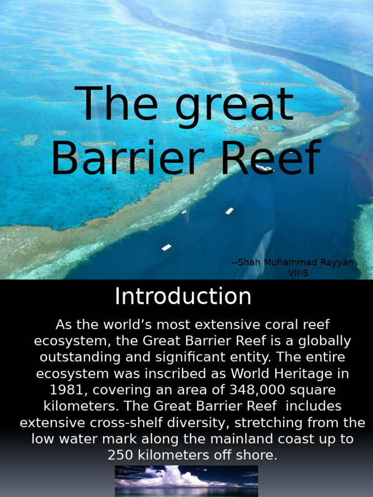 Great Barrier Reef Overview and Threats | PDF | Coral Reef | Coast