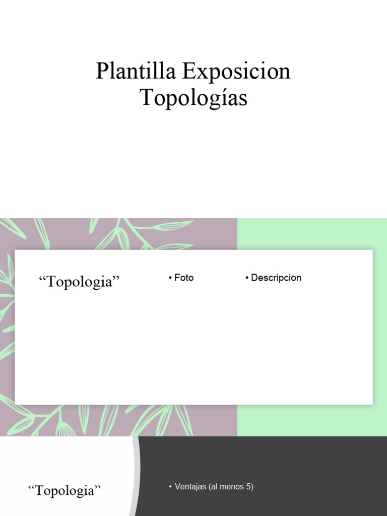 Plantilla Exposicion Topologias | PDF