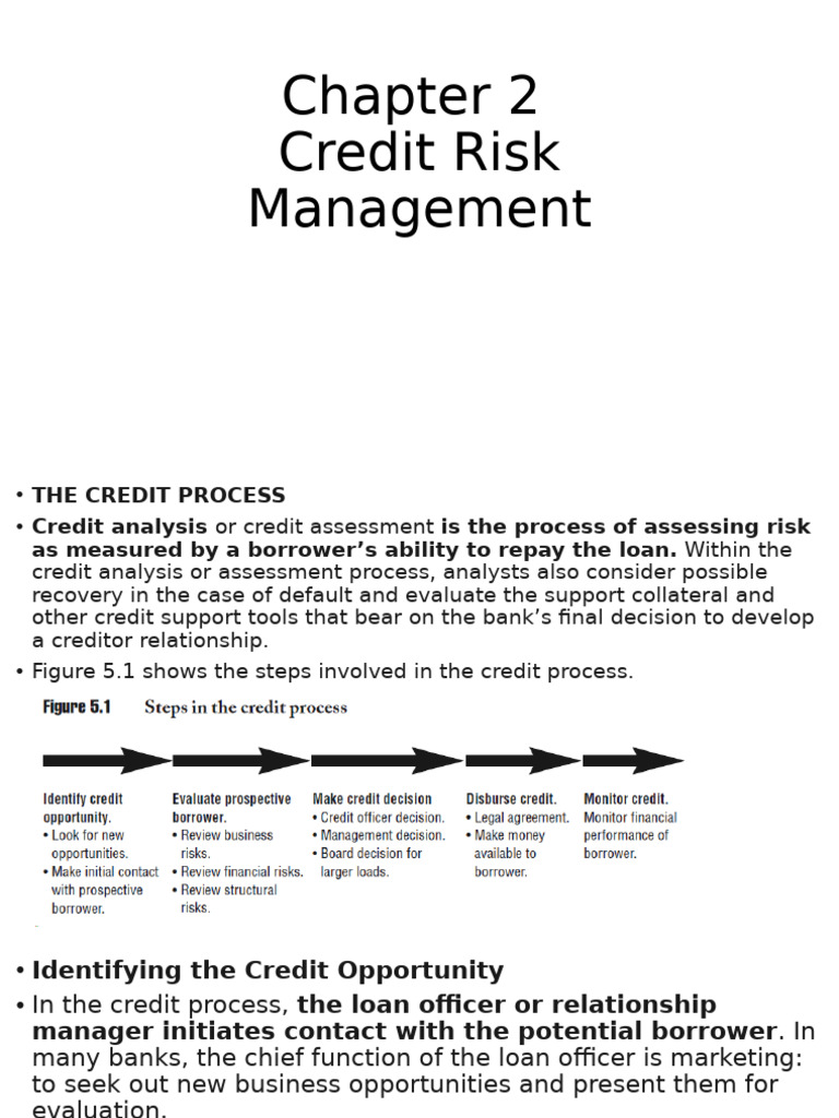Credit Risk Management Overview | PDF | Debt | Credit