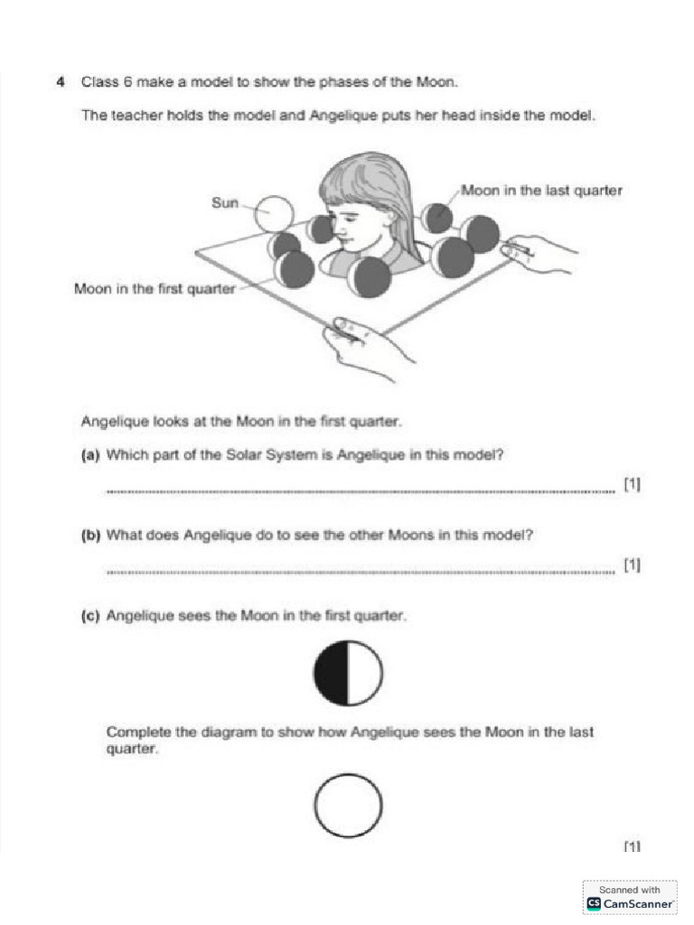 Moon Phases | PDF