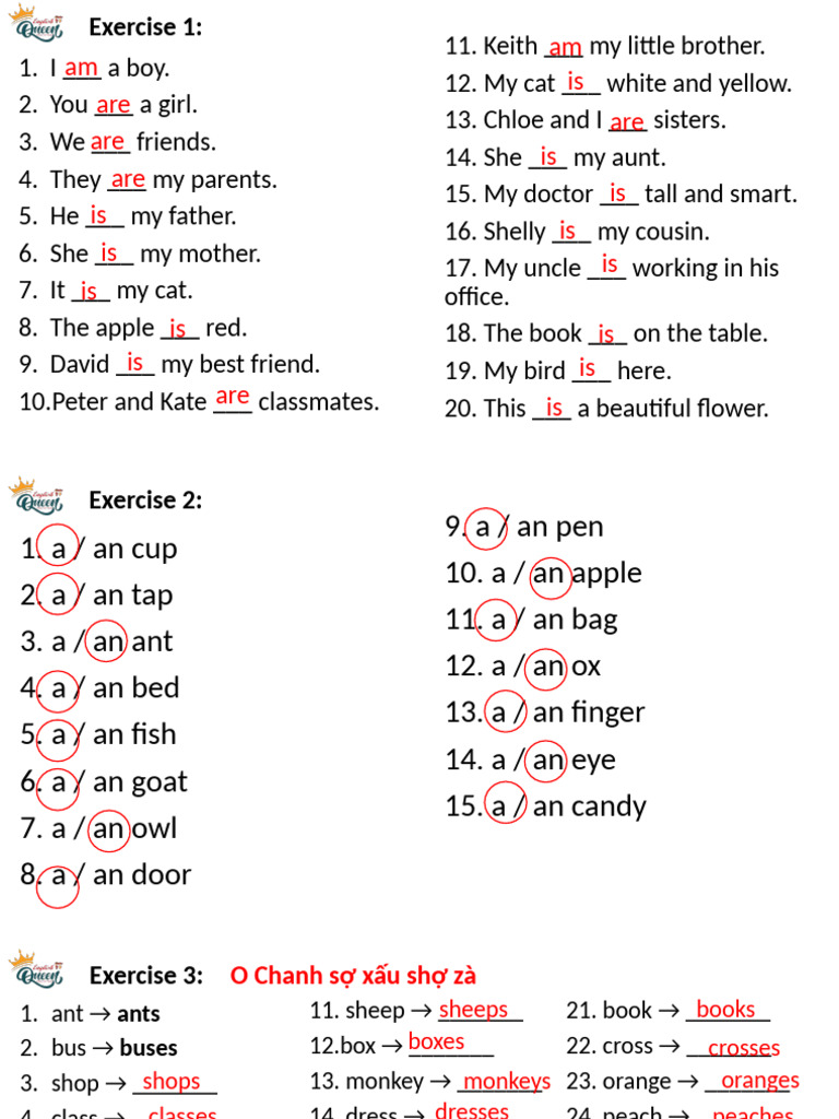 English Grammar Exercises for Beginners | PDF