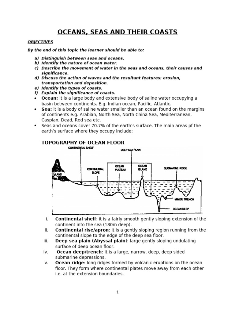 Understanding Oceans and Seas Dynamics | PDF | Shoal | Coast