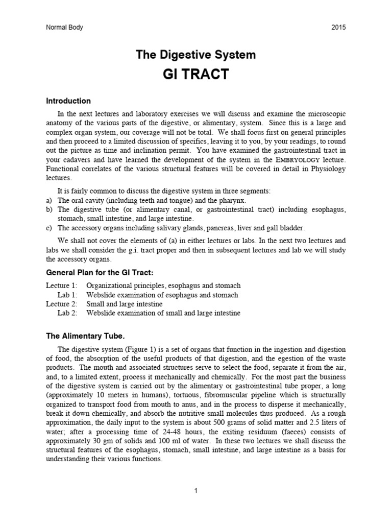 Histology Digestive System | PDF | Stomach | Esophagus