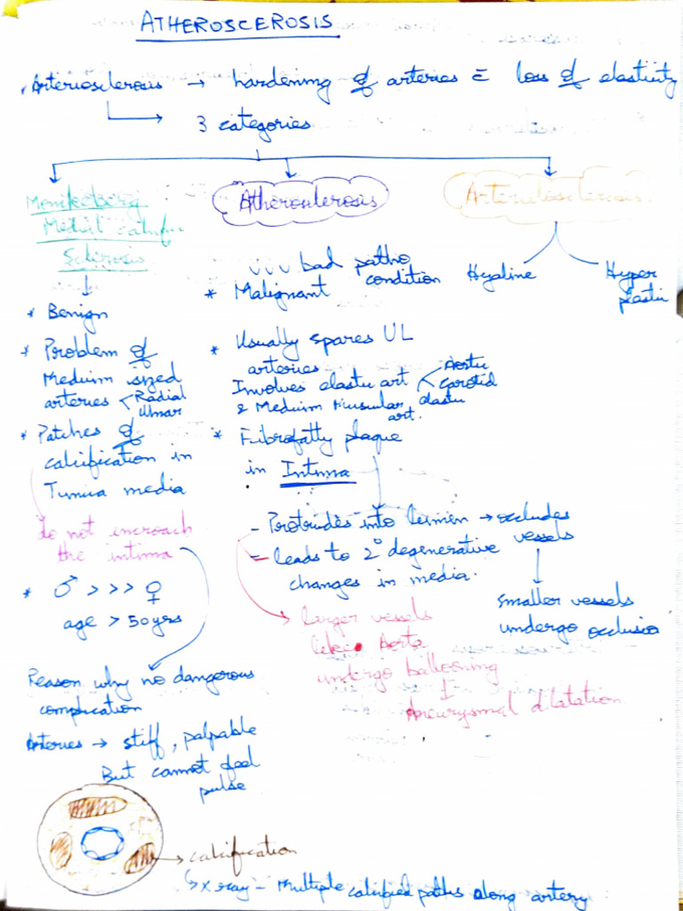 Understanding Atherosclerosis Mechanisms | PDF