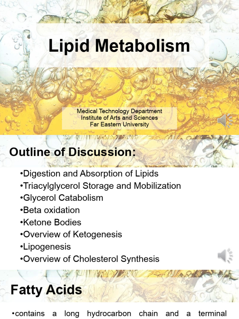Lipid Metabolism Overview and Processes | PDF | Lipid | Fatty Acid
