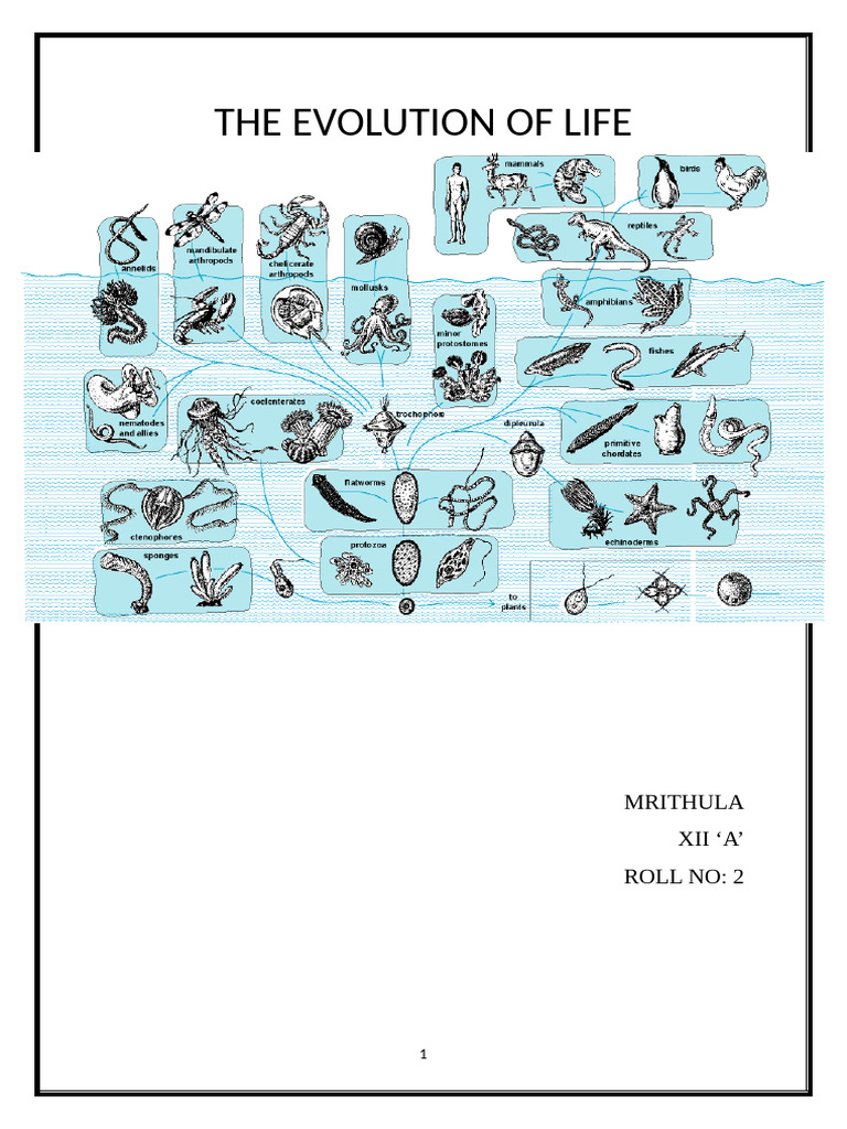 Theories of Life's Evolution Explained | PDF | Abiogenesis | Evolution