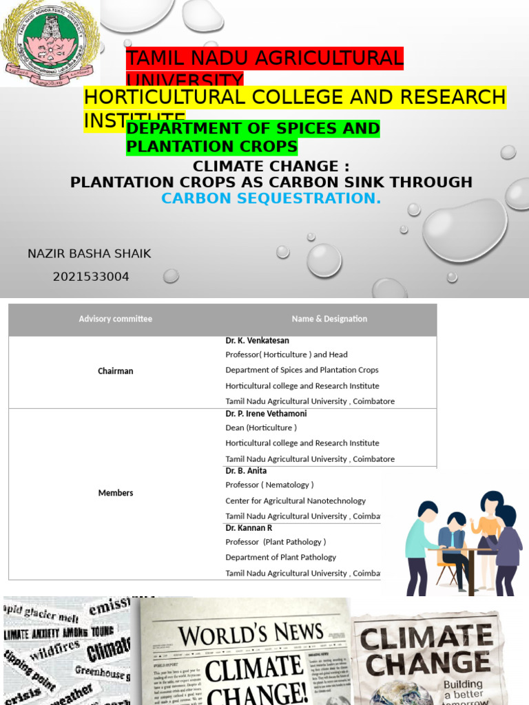 Carbon Sequestration in Plantation Crops | PDF | Carbon Sequestration ...