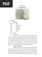 Download M E L O N by Fardhani Aristya Putri Santoso SN93659303 doc pdf