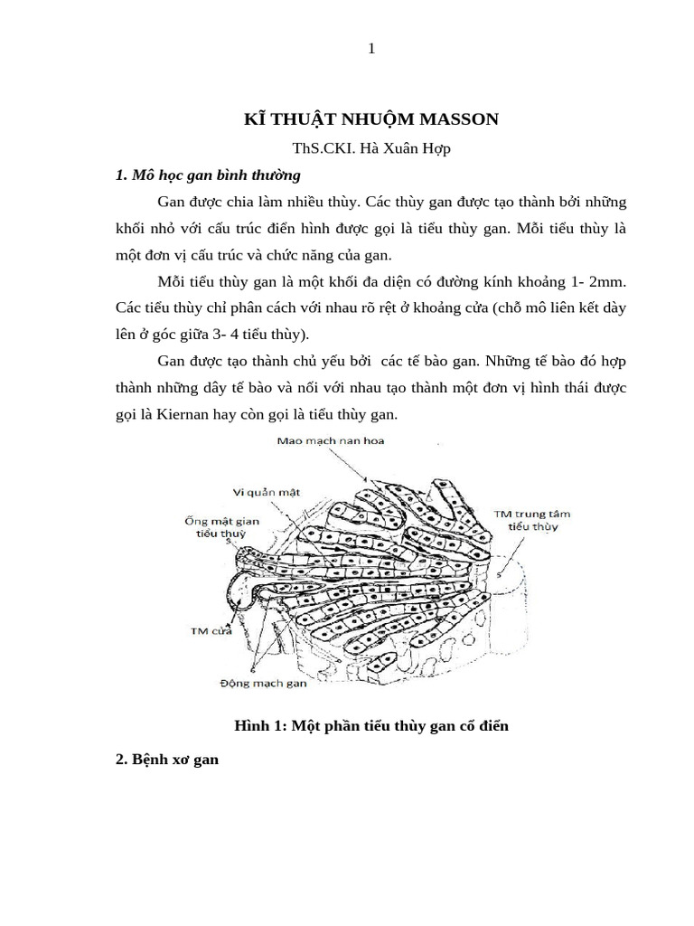 Masson | PDF