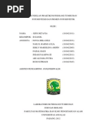Download Laporan Fistum Rini Fotosintesis Betul by Rini Oktavia Oktavia SN93660222 doc pdf