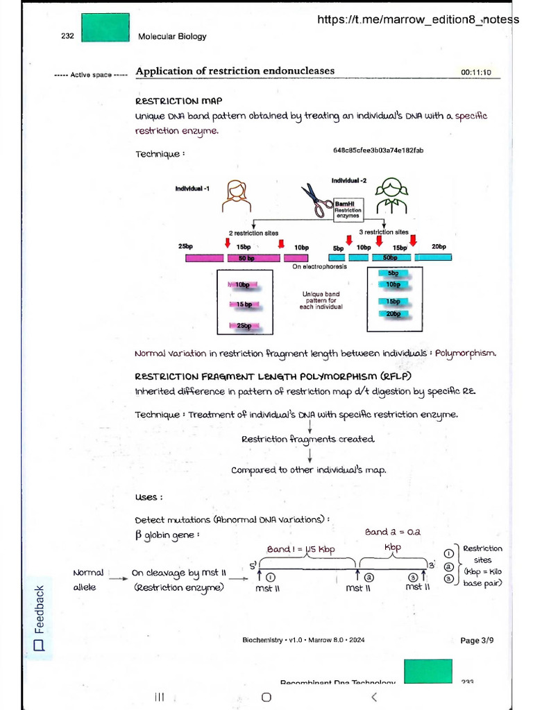 Restriction Enzyme Applications in DNA Analysis | PDF | Restriction ...