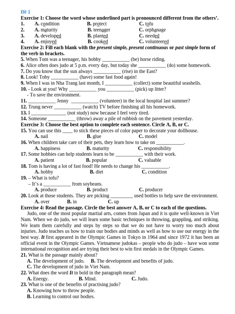 English Language Exercises for Students | PDF