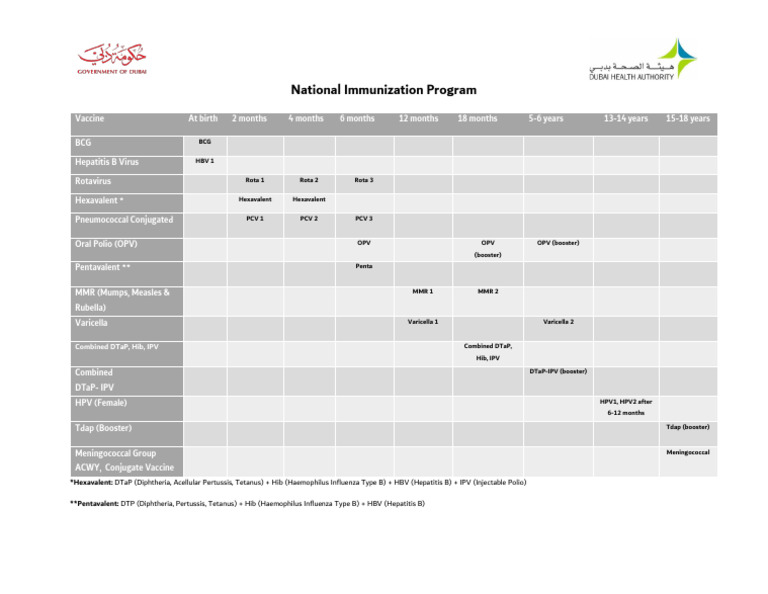 National Immunization Schedule 2025 | PDF | Medical Specialties ...