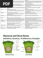Monocot and Dicot Root Anatomy | PDF | Root | Plant Stem
