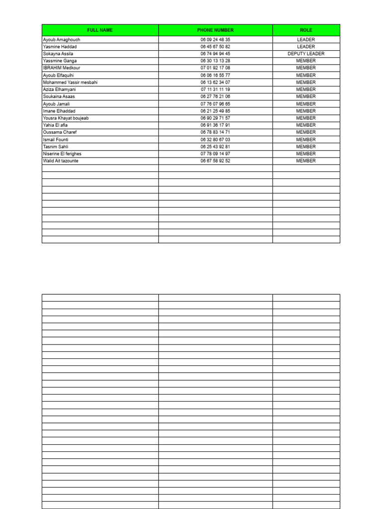 Team Member Contact List | PDF