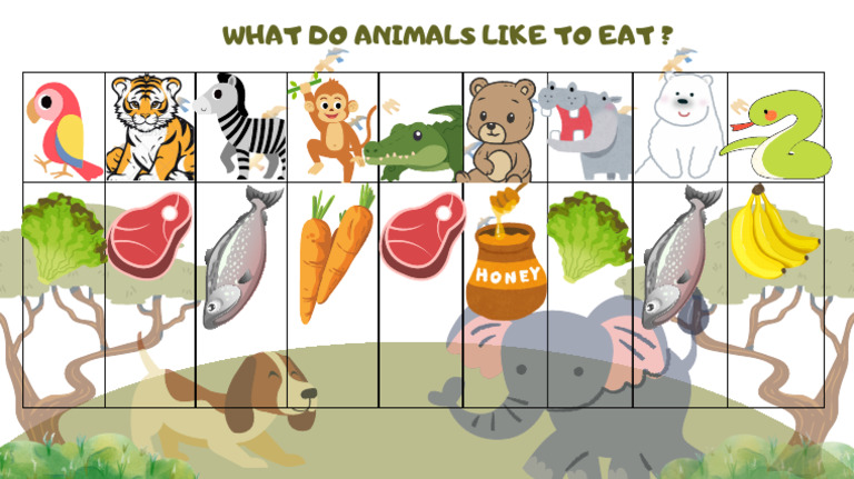 What Do Animals Eat | PDF