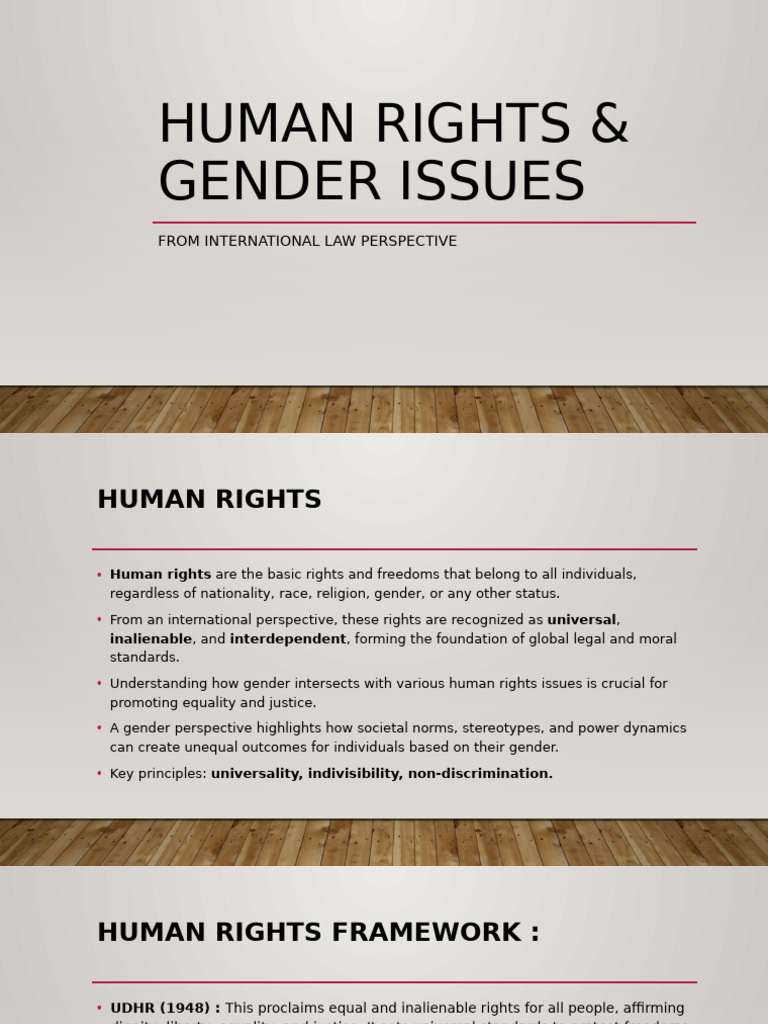 Human Rights and Gender Equality Insights | PDF | Gender Studies ...