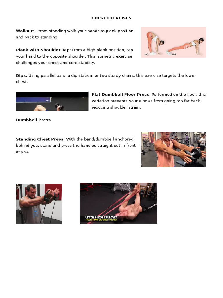 Chest Exercises | PDF