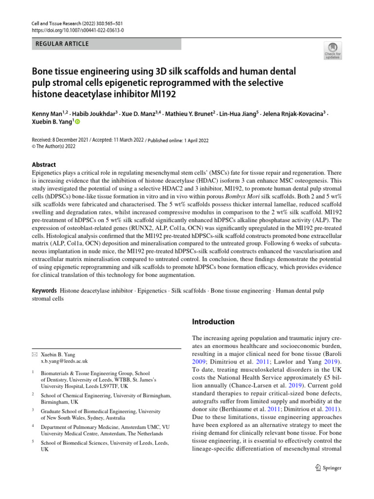 Bone Tissue Engineering Using 3D Silk Scaffolds and Human Dental | PDF ...