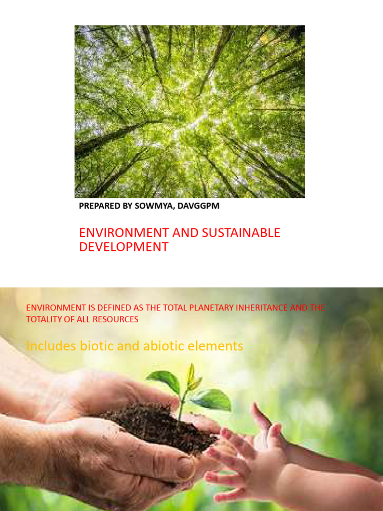 Environment and Sustainable Development | PDF | Natural Environment | Soil