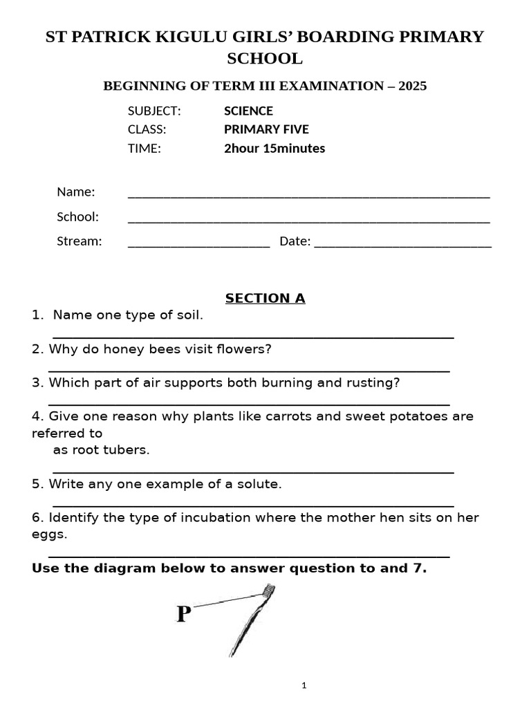 P5 Science Exam Questions 2025 | PDF | Fungus | Digestion