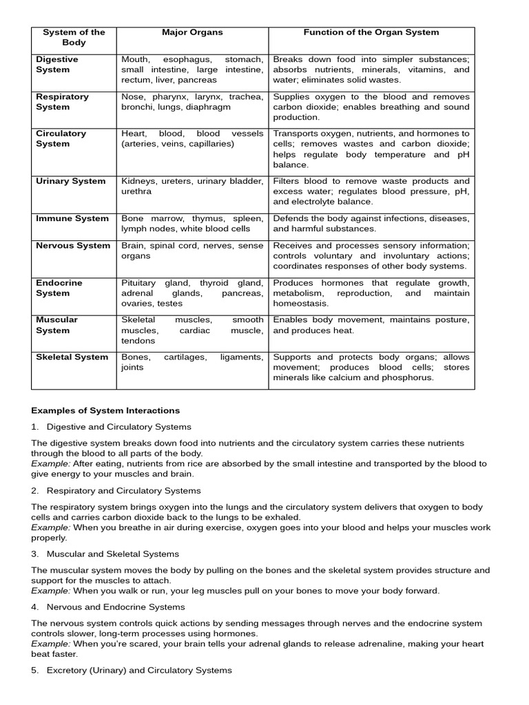 Overview of Body Organ Systems | PDF | Human Body | Biology