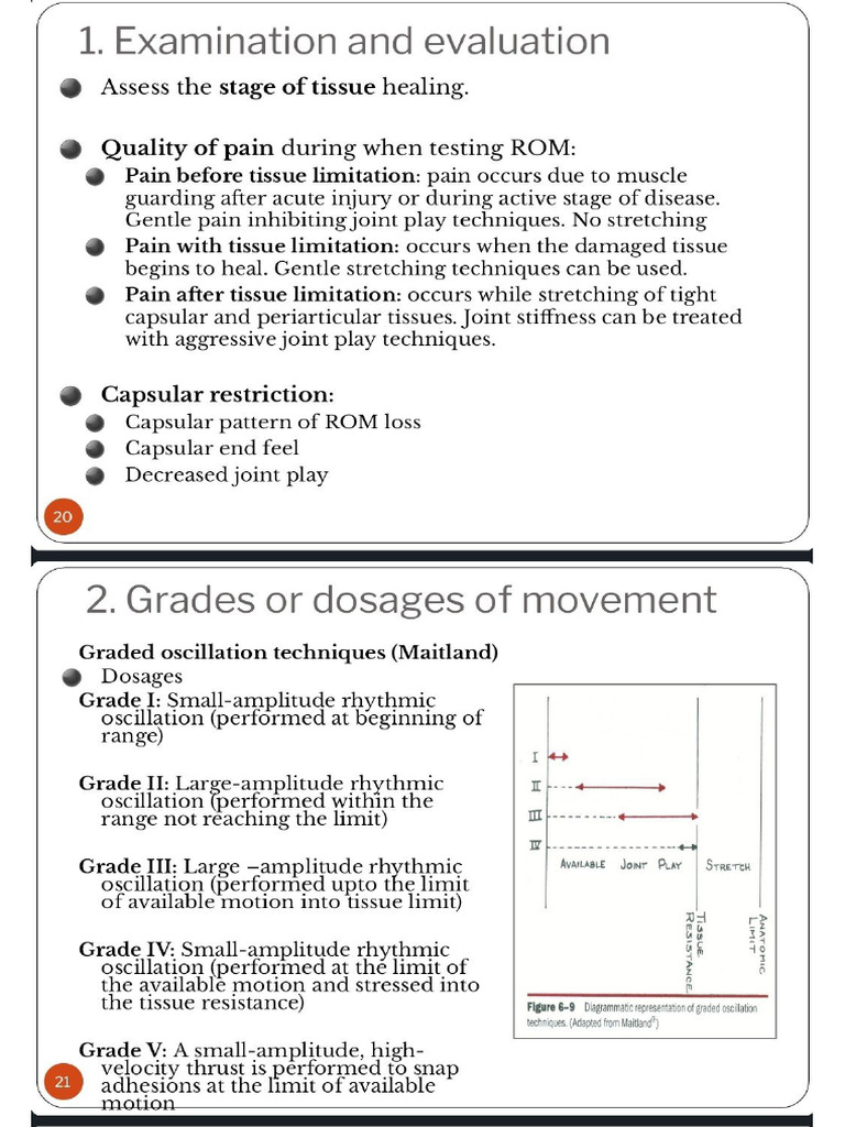 Maitland Principles Indication Ci and Precautions | PDF