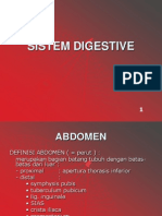 Organ Tubuh Pada Regio Abdomen