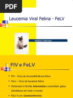 FeLV