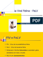 Fe LV