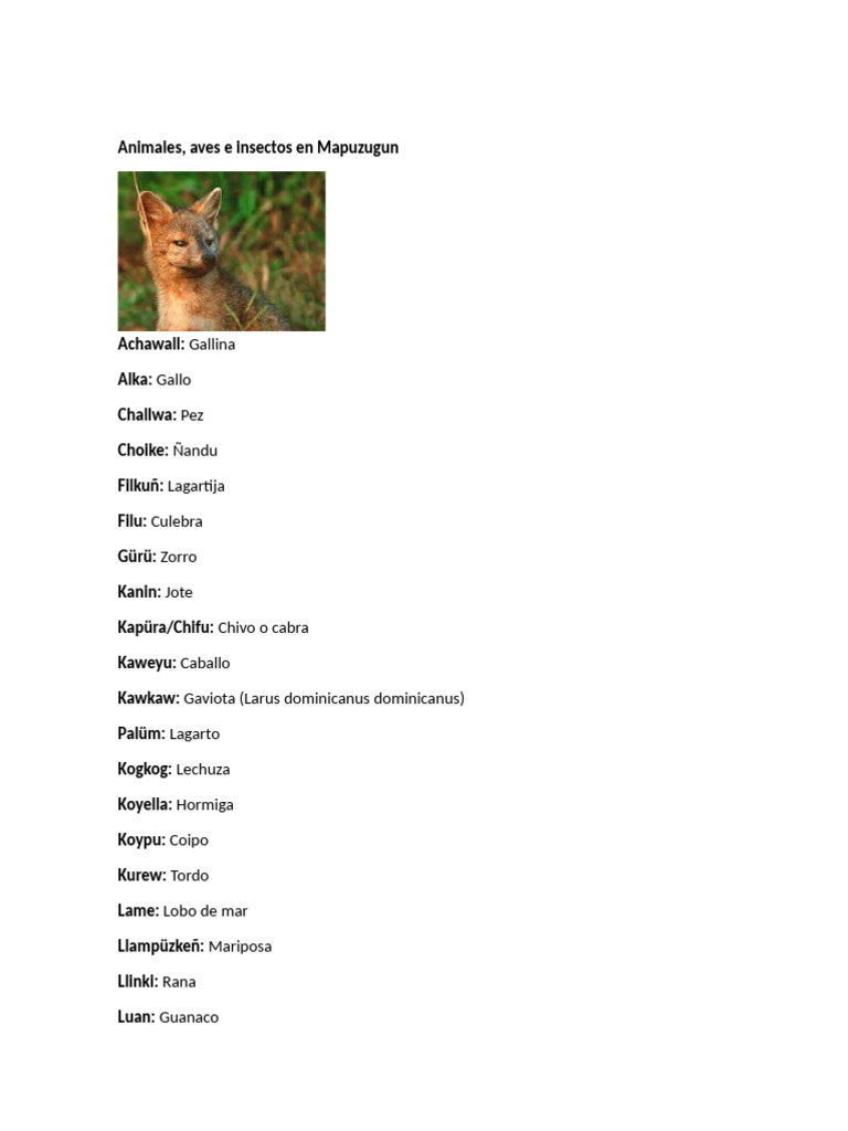 Nombres de animales en mapudungun | PDF