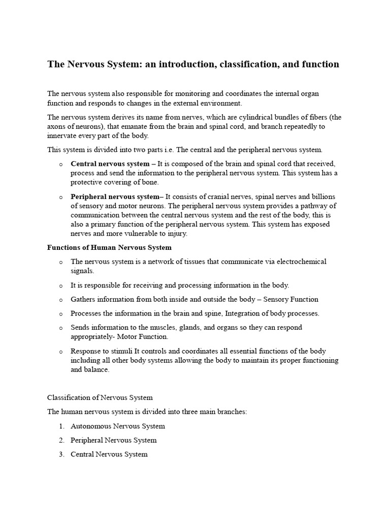Overview of the Human Nervous System | PDF | Nervous System | Central ...