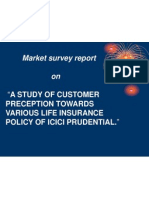 Market Survey Report On: "A Study of Customer