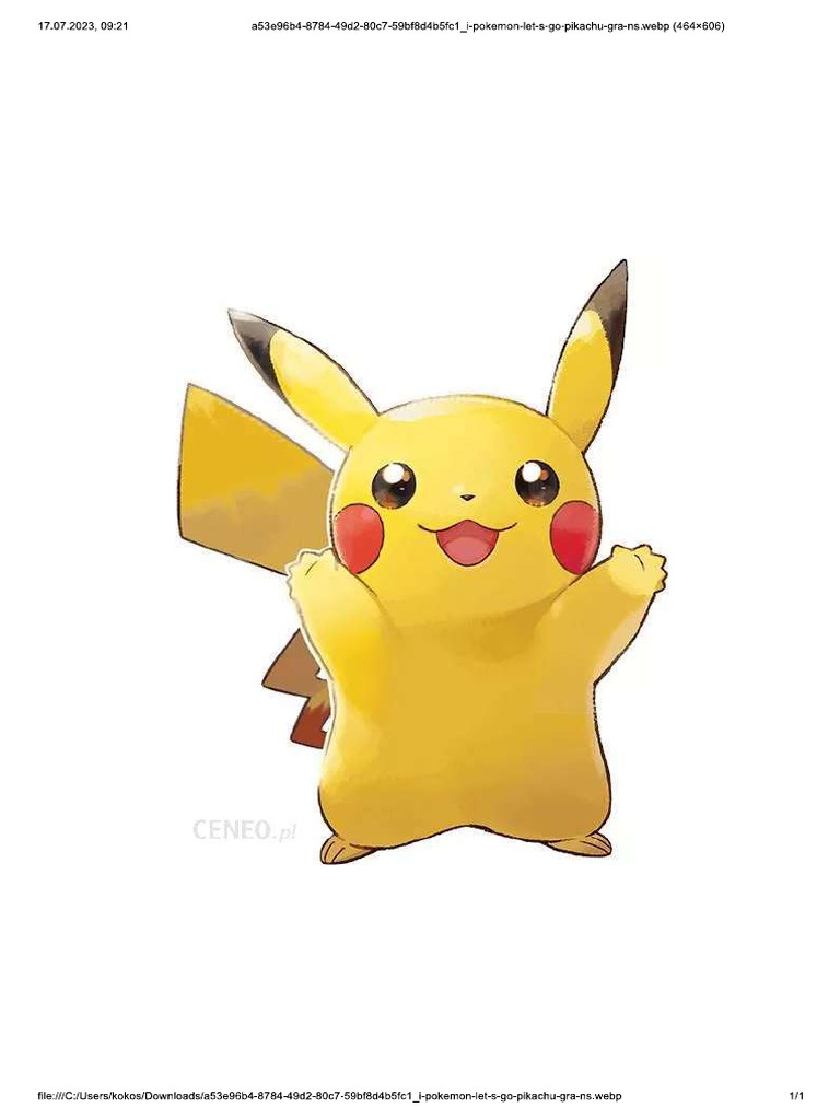 Pikachu | PDF