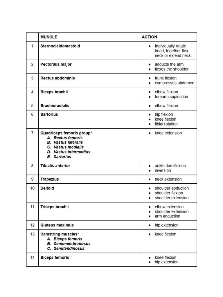Muscle Actions and Functions Guide | PDF