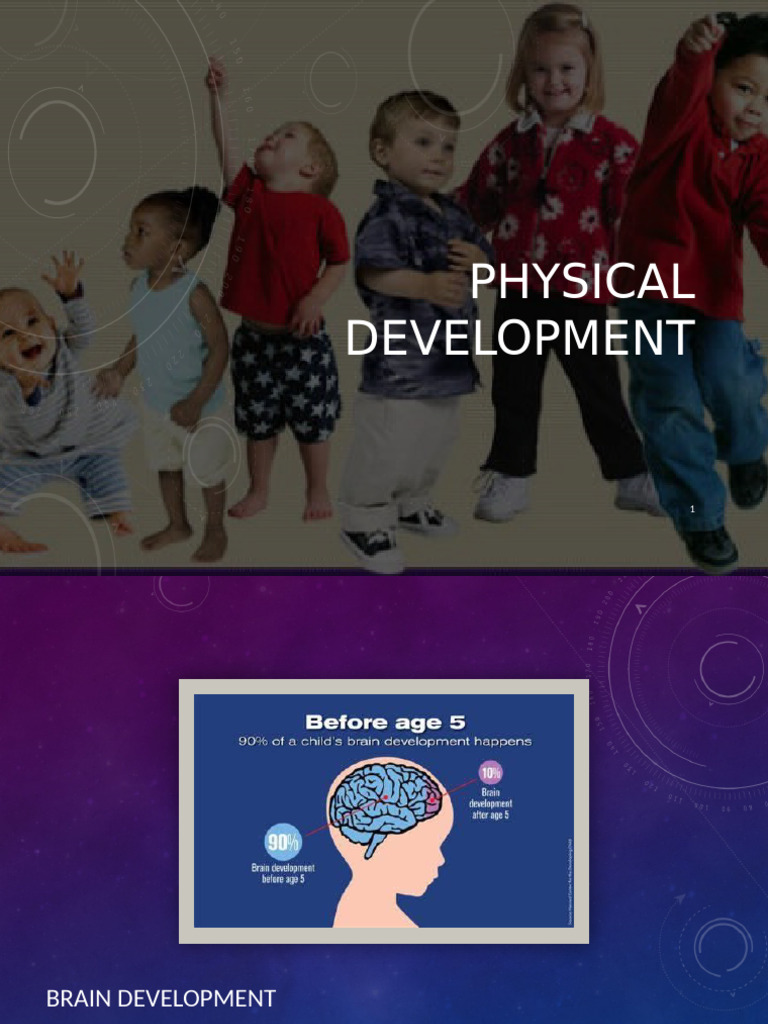 Physical Development - The Developing Child | PDF | Nervous System | Brain