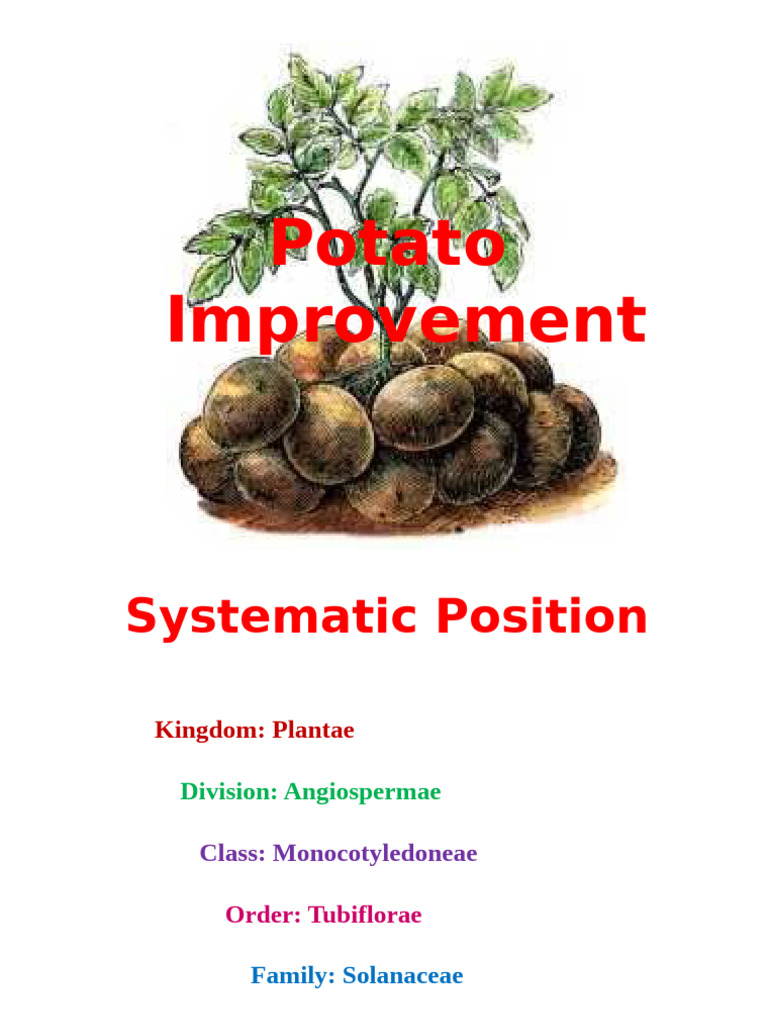 Potato Cultivation and Breeding Guide | PDF | Flowers | Potato