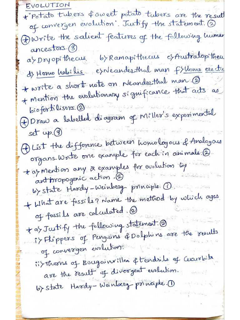 Evolution QP | PDF