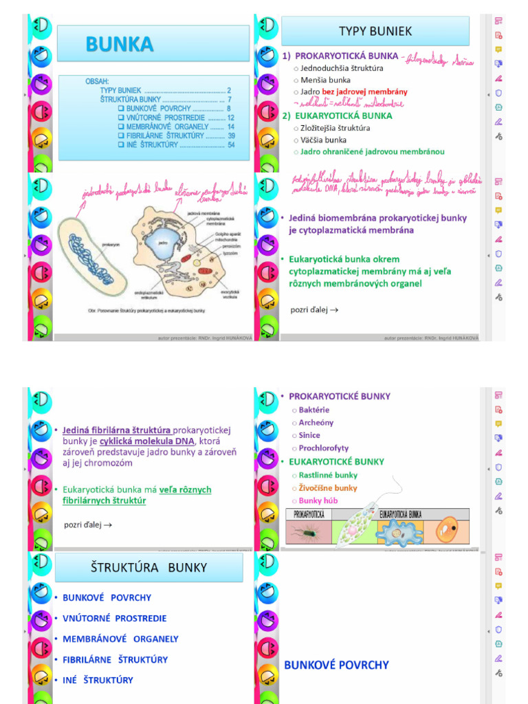 Struktura Bunky M | PDF